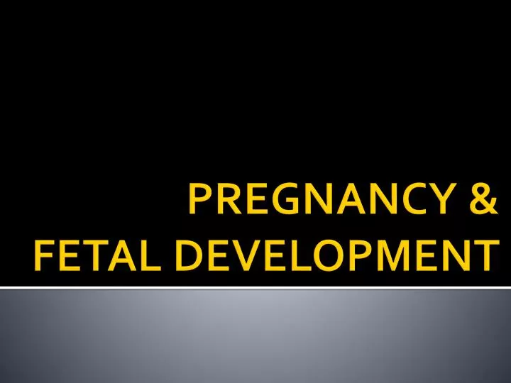 pregnancy fetal development