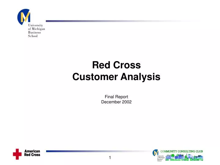 red cross customer analysis final report december 2002