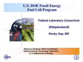 U.S. DOE Fossil Energy Fuel Cell Program