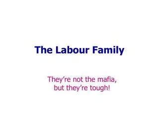 The Labour Family