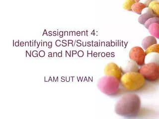 Assignment 4: Identifying CSR/Sustainability NGO and NPO Heroes