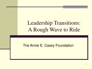 Leadership Transitions: A Rough Wave to Ride