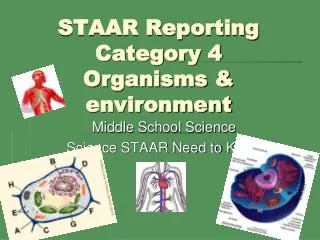 STAAR Reporting Category 4 Organisms &amp; environment