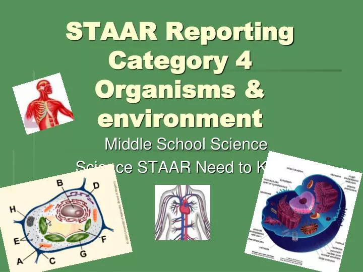 staar reporting category 4 organisms environment