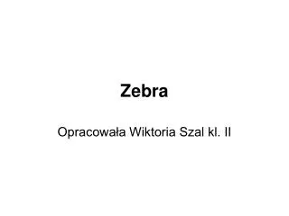 zebra