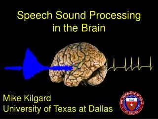 Speech Sound Processing in the Brain