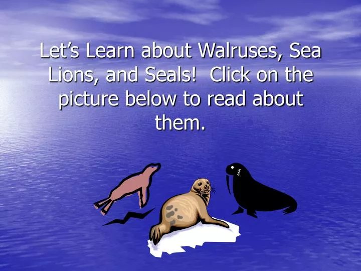 let s learn about walruses sea lions and seals click on the picture below to read about them