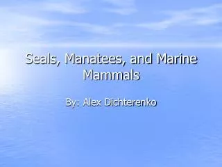 Seals, Manatees, and Marine Mammals
