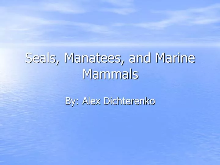seals manatees and marine mammals