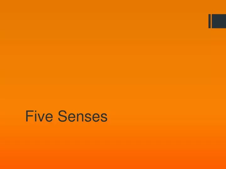 five senses