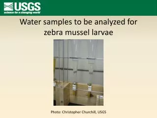 Water samples to be analyzed for zebra mussel larvae