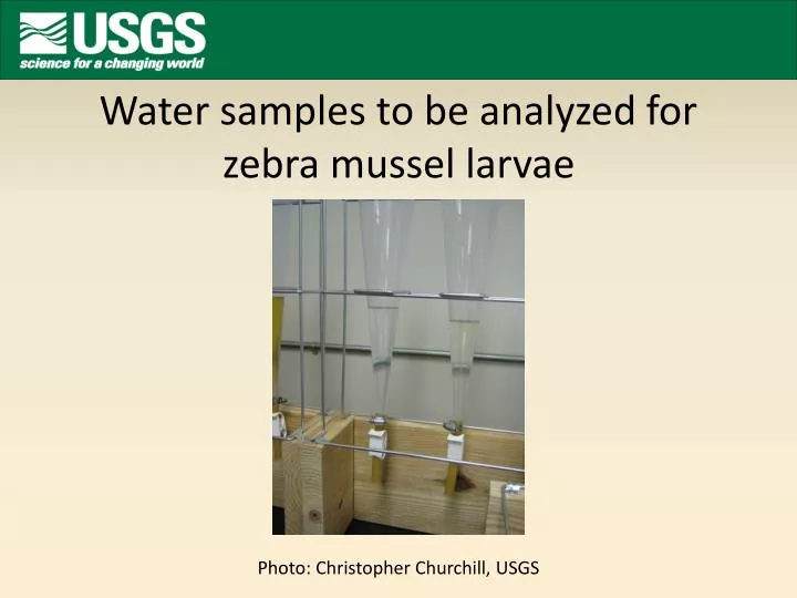 water samples to be analyzed for zebra mussel larvae