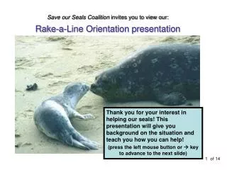 Save our Seals Coalition invites you to view our: Rake-a-Line Orientation presentation
