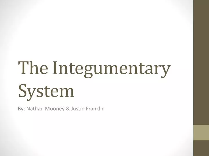 the integumentary system