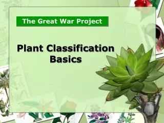 Plant Classification Basics