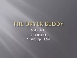 The Dryer Buddy