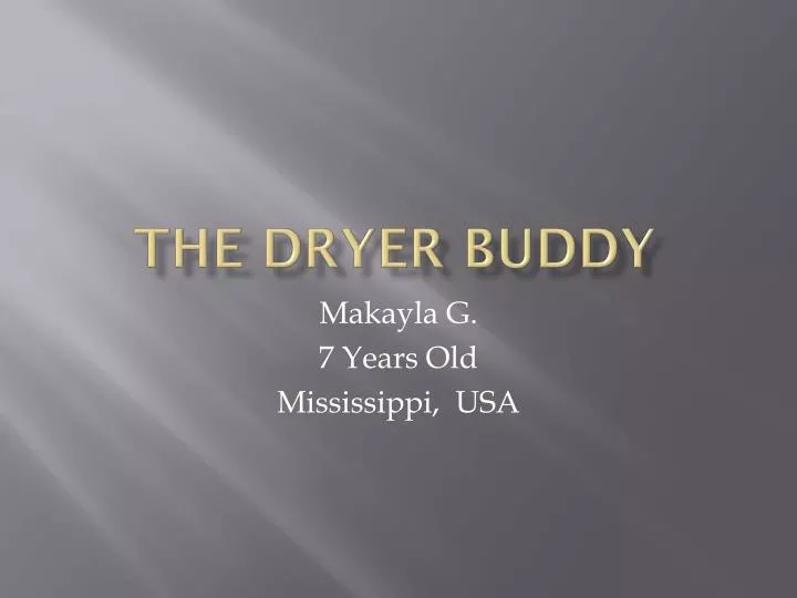 the dryer buddy