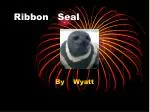 Ribbon Seal