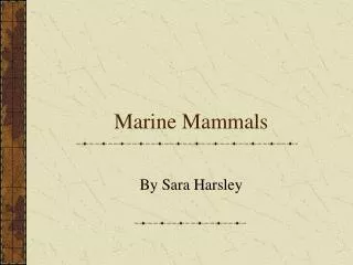 Marine Mammals