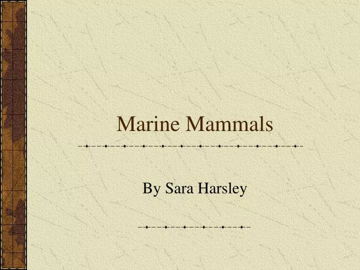 marine mammals