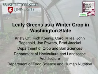 Leafy Greens as a Winter Crop in Washington State