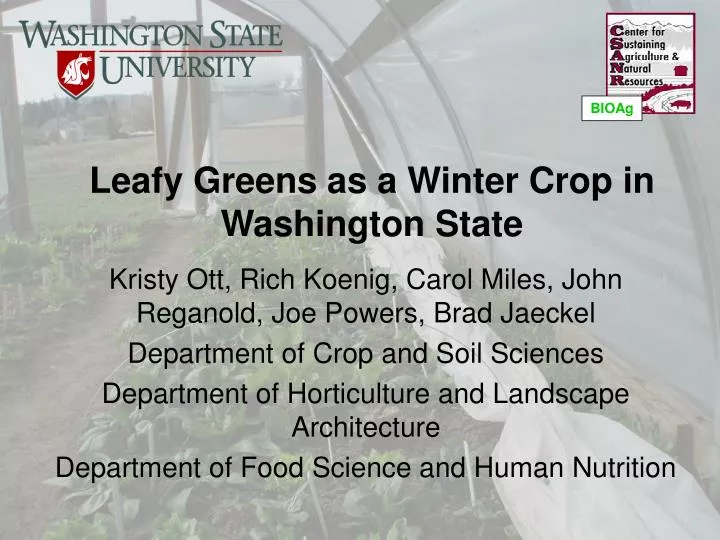 leafy greens as a winter crop in washington state