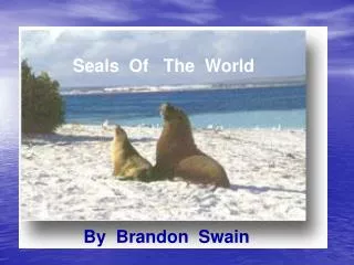 Seals Of The World