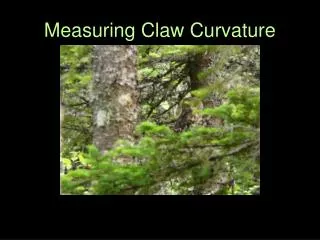 Measuring Claw Curvature