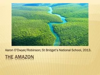 THE AMAZON