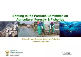 Briefing to the Portfolio Committee on Agriculture, Forestry &amp; Fisheries