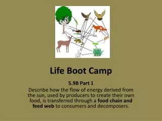 Life Boot Camp