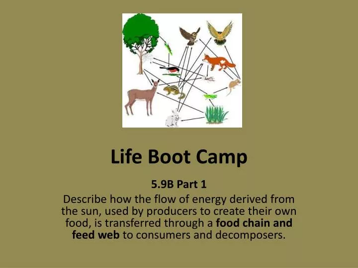 life boot camp