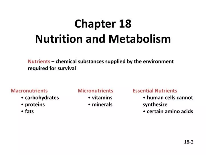 chapter 18 nutrition and metabolism