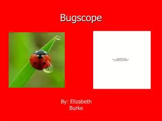 Bugscope