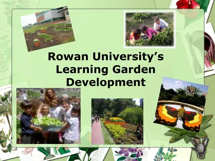 rowan university s learning garden development