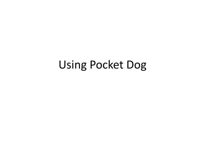 using pocket dog