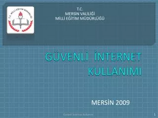g venl nternet kullanimi