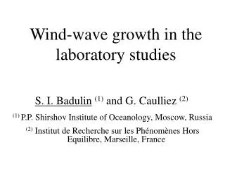 Wind-wave growth in the laboratory studies