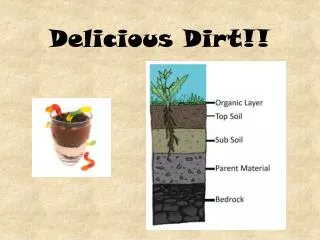 Delicious Dirt!!