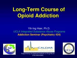 Long-Term Course of Opioid Addiction