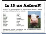 An Overview of Animal Kingdom Phyla: Symmetry, Tissues, and Body Plans - slide 1