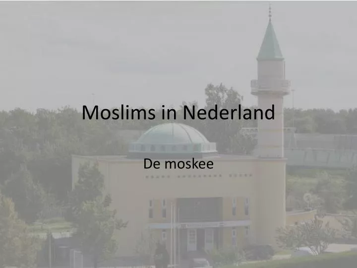 moslims in nederland