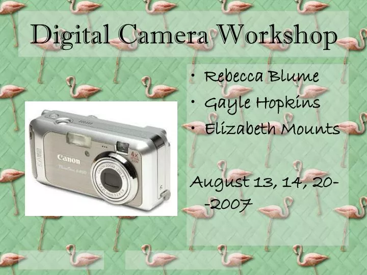 digital camera workshop