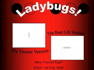 Ladybugs!
