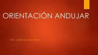 orientaci n andujar