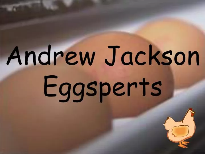 andrew jackson eggsperts