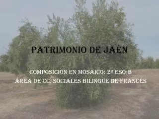 patrimonio de ja n