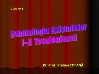 pr prof stelian tofan