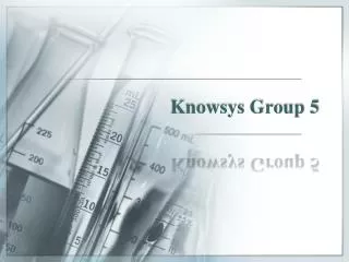 Knowsys Group 5
