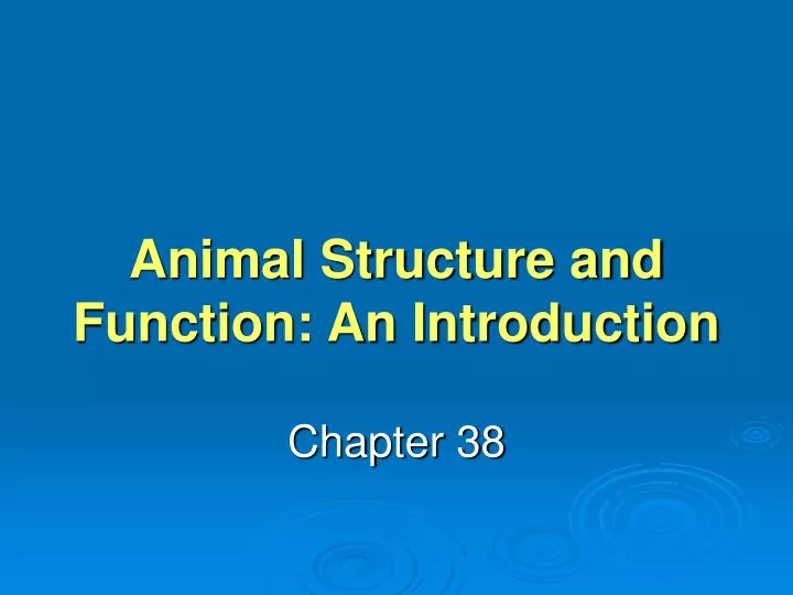 animal structure and function an introduction